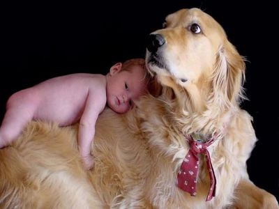 Собака с ребенком. Источник: http://www.dogway.ru/kak-vyibrat-sobaku-dlya-kvartiryi