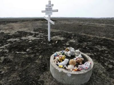 Игрушки возле креста в память о жертвах авиакатастрофы MH17. Фото: Александр Ермоченко/Reuters Игрушки возле креста в память о жертвах авиакатастрофы MH17. Фото: Александр Ермоченко/Reuters