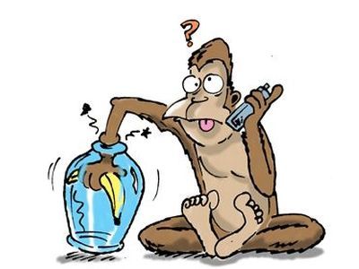 Ловушка для обезьян